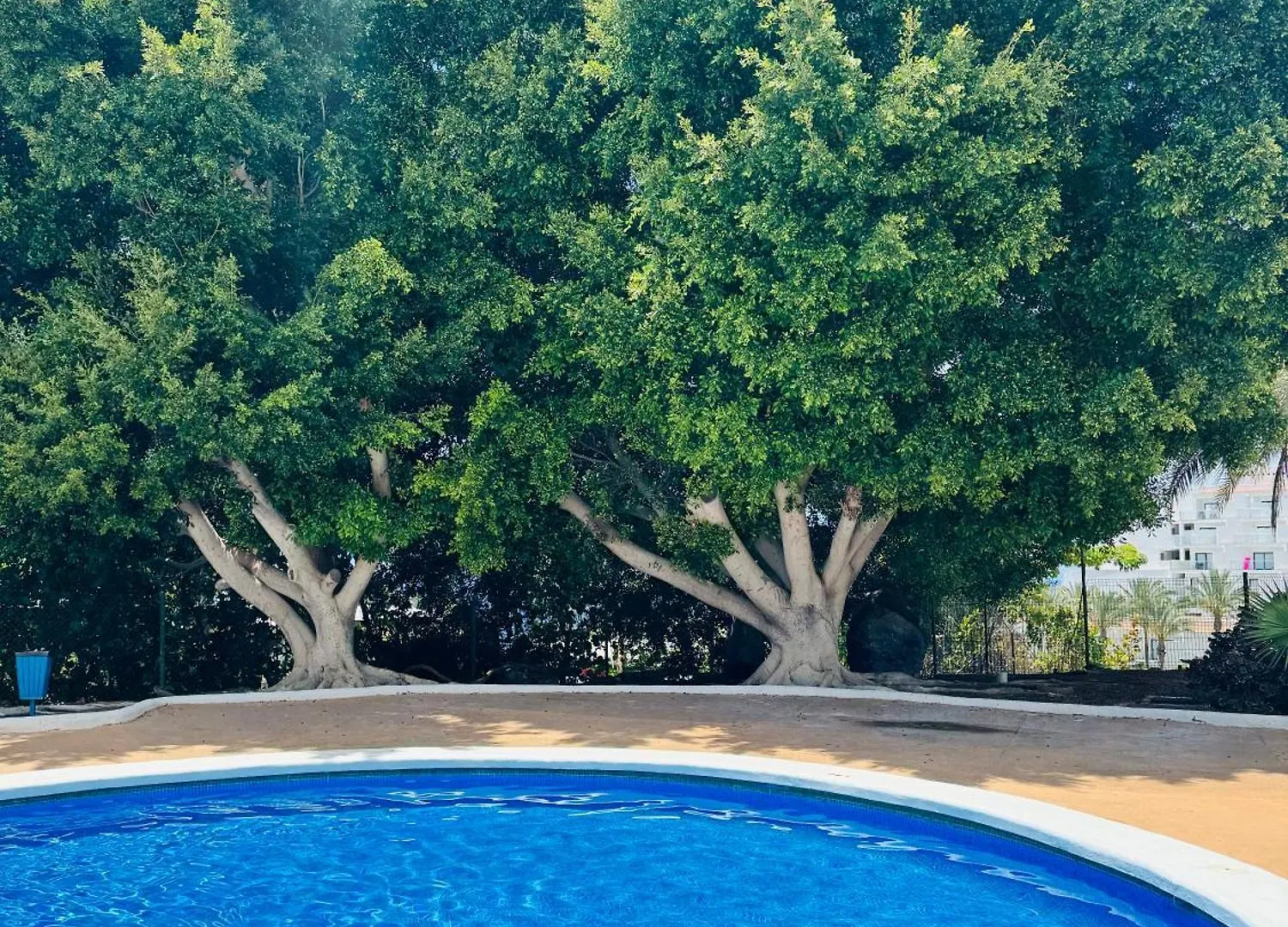 Kai Apartment - Swimming Pool - Ac 플라야 파라이소